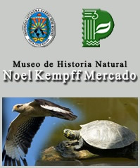 Museo de Historia Natural Noel Kempff Mercado